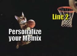 A Striped Cat Dunks Basketball 