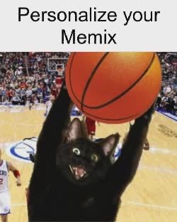 A Small Black Cat Dunks Basketball 