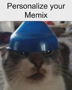 cat-bowlon-head