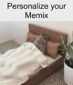 cat-comfy-bed