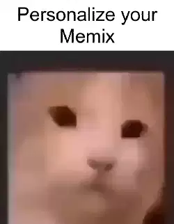 cat-cube-rotate