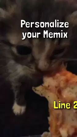 cat-eating-pizza