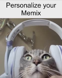 cat-headphones