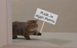 Cat Enters Room With Picket Sign 