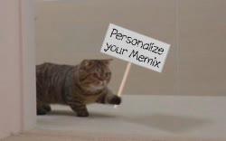 Cat Enters Room With Picket Sign 