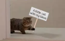 A little cat with big ideas meme