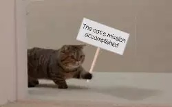 The cat's mission accomplished meme