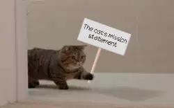 The cat's mission statement meme