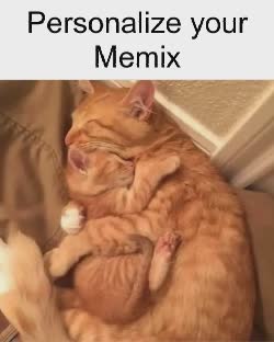 Cat Mom Hugs Her Baby 