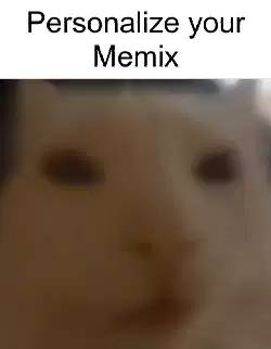cat-in-and-out-fast
