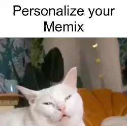 cat-in-pain