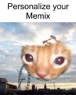 cat-in-sky