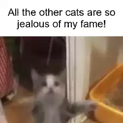 All the other cats are so jealous of my fame! meme
