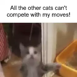 All the other cats can't compete with my moves! meme