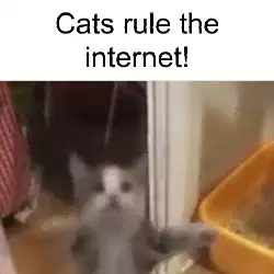 Cats rule the internet! meme