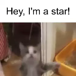 Hey, I'm a star! meme