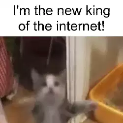 I'm the new king of the internet! meme