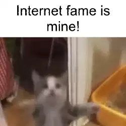Internet fame is mine! meme