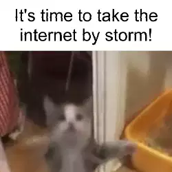 It's time to take the internet by storm! meme