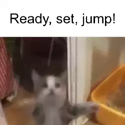 Ready, set, jump! meme