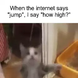 When the internet says "jump", I say "how high?" meme