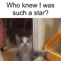 Who knew I was such a star? meme