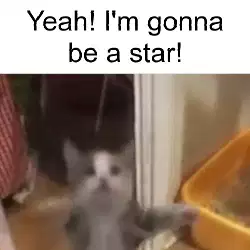 Yeah! I'm gonna be a star! meme