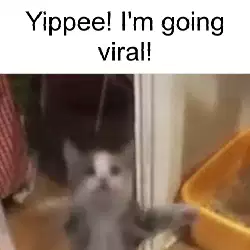 Yippee! I'm going viral! meme