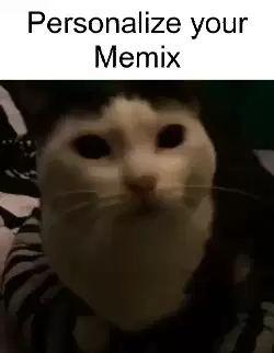 cat-kneading-blanket