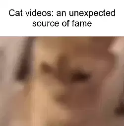 Cat videos: an unexpected source of fame meme