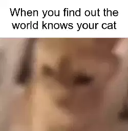 When you find out the world knows your cat meme