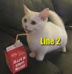 Small White Cat Sips Milks 