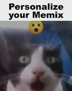 Black And White Cat Surprised 