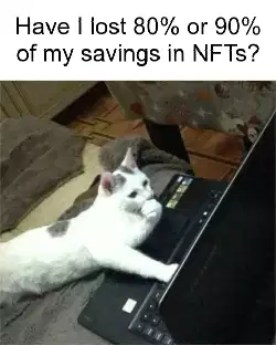 Have I lost 80% or 90% of my savings in NFTs? meme