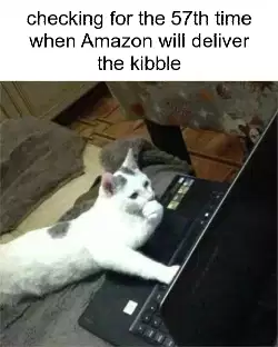 checking for the 57th time when Amazon will deliver the kibble meme