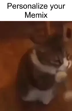 Cat Freaks Out And Swings Claws 