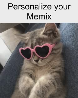 cat-pink-sunglasses