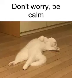 Don't worry, be calm meme