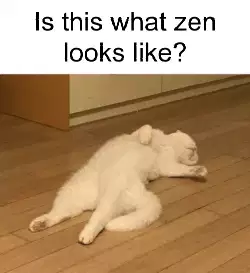 Is this what zen looks like? meme