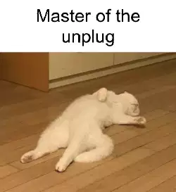 Master of the unplug meme