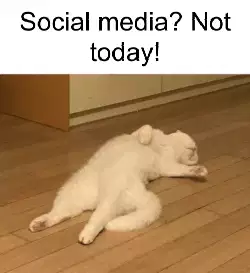 Social media? Not today! meme
