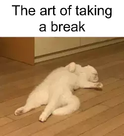 The art of taking a break meme