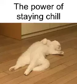 The power of staying chill meme