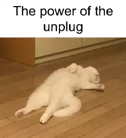 The power of the unplug meme