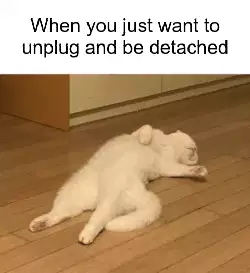 When you just want to unplug and be detached meme