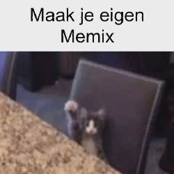 Cat Car Crash Meme, GIF - Share with Memix