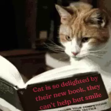 Cat is so delighted by their new book, they can't help but smile meme