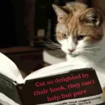 Cat so delighted by their book, they can't help but purr meme