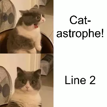 Cat-astrophe! meme
