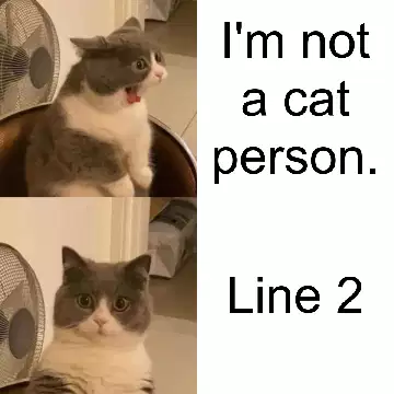 I'm not a cat person. meme